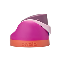 Replacement Lids Daily 9-0019